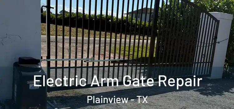 Electric Arm Gate Repair Plainview - TX