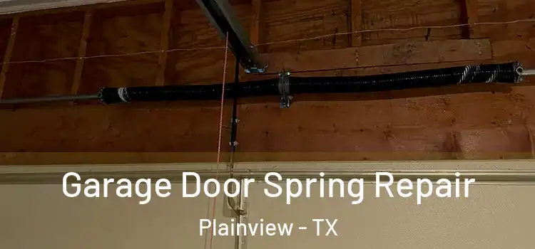  Garage Door Spring Repair Plainview - TX