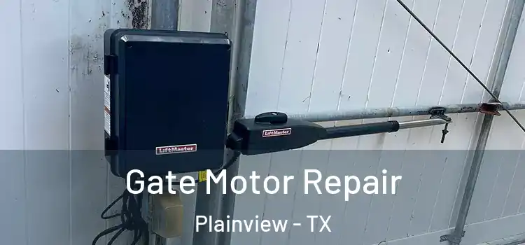 Gate Motor Repair Plainview - TX
