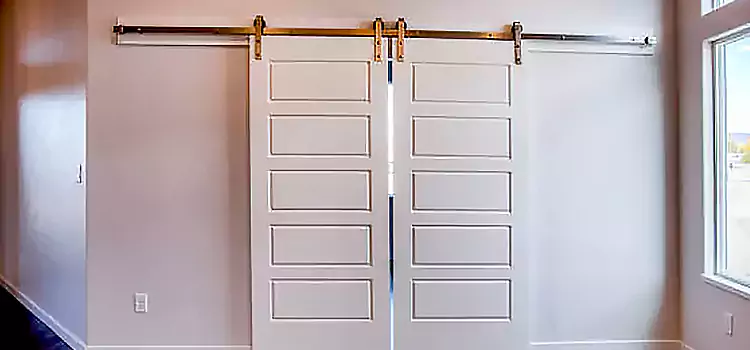 Glass Barn Door with Installation Hardware Kit Plainview