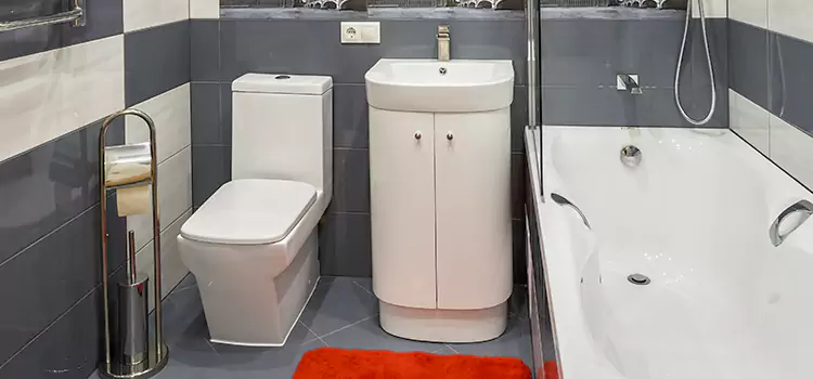 Hansgrohe Shaving Mirror Plainview
